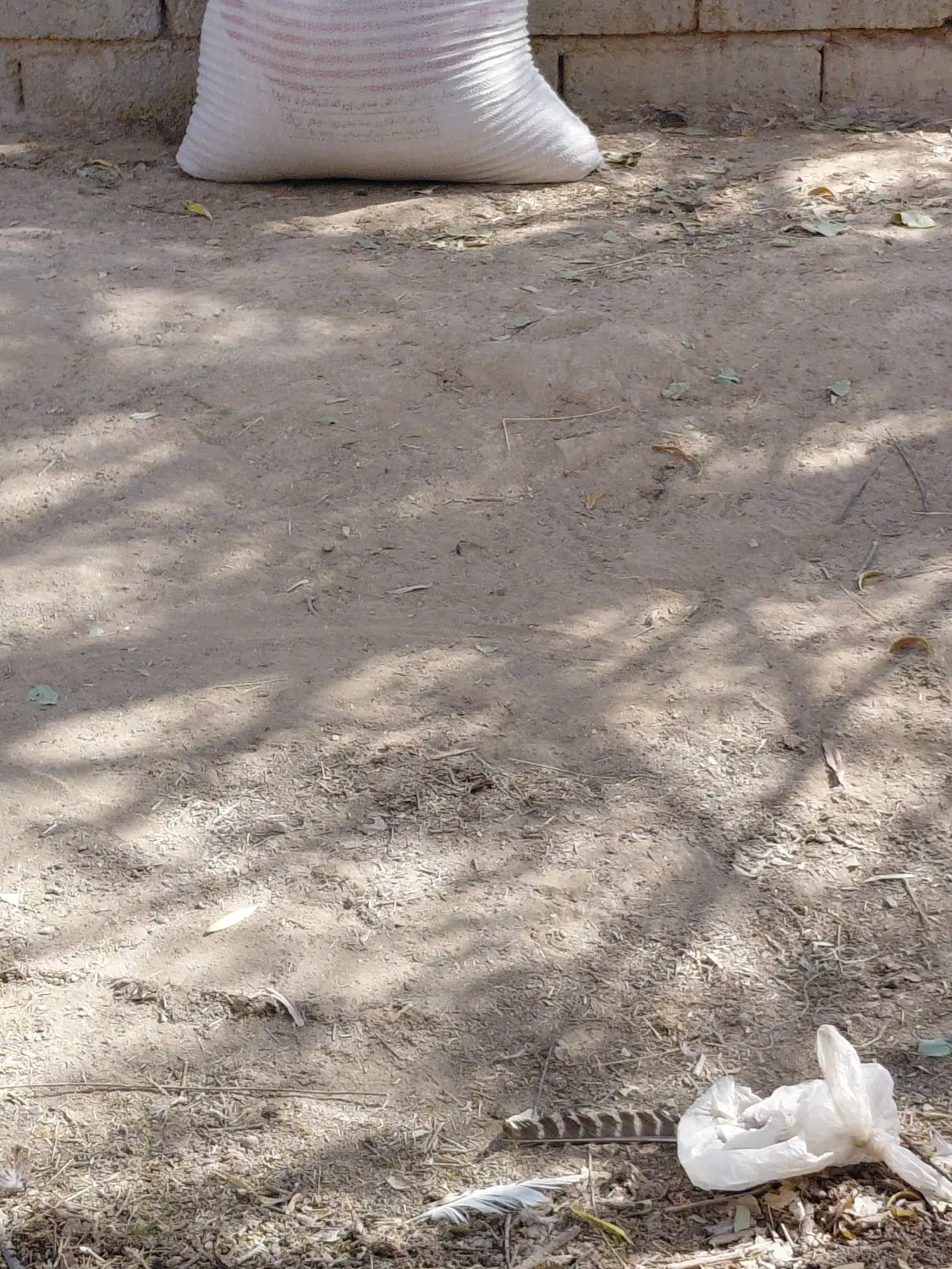 زمین براانبار