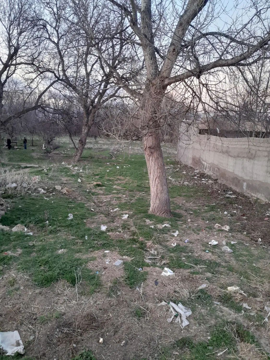 فروش زمین
