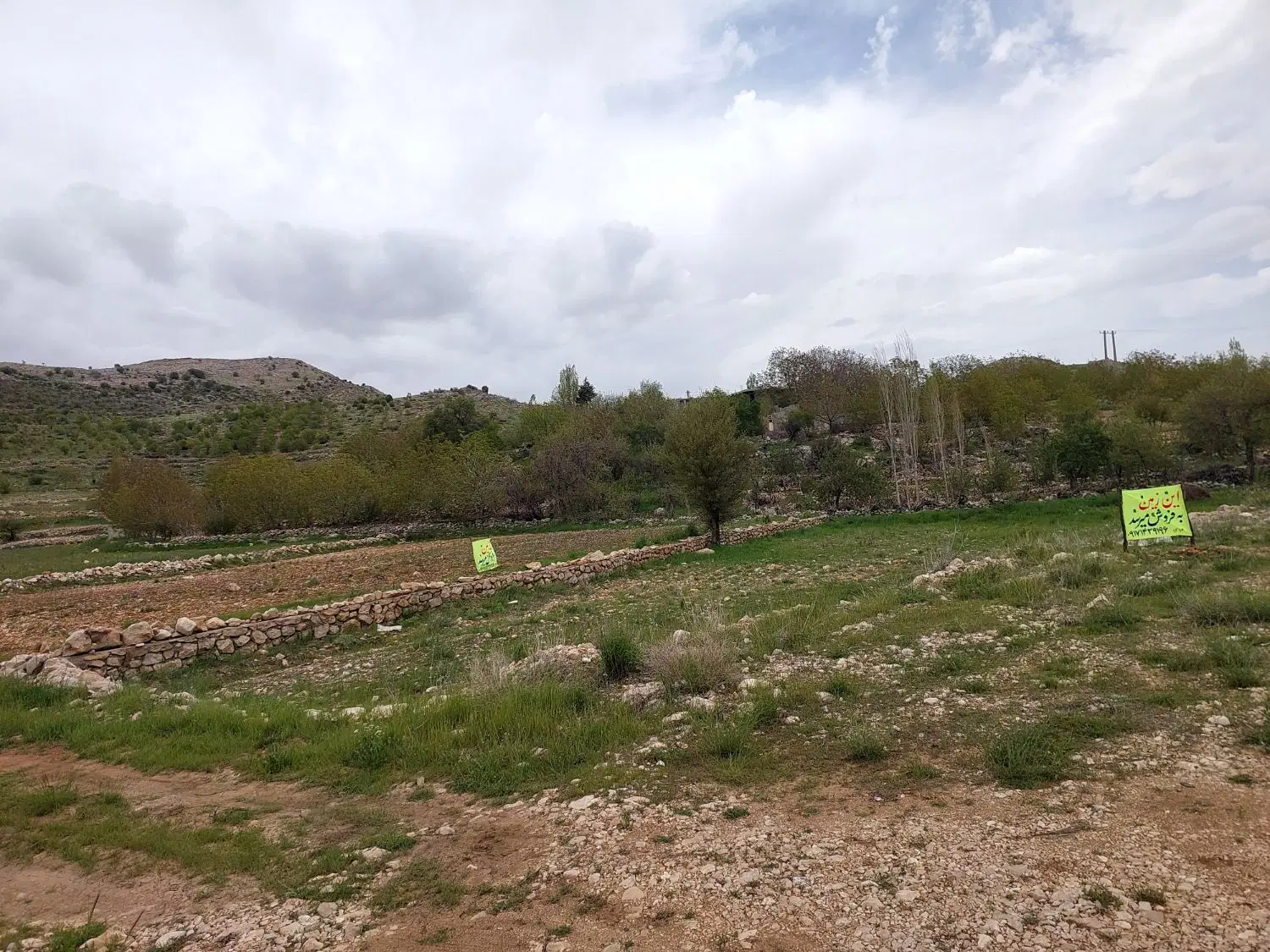 زمین‌ فروشی