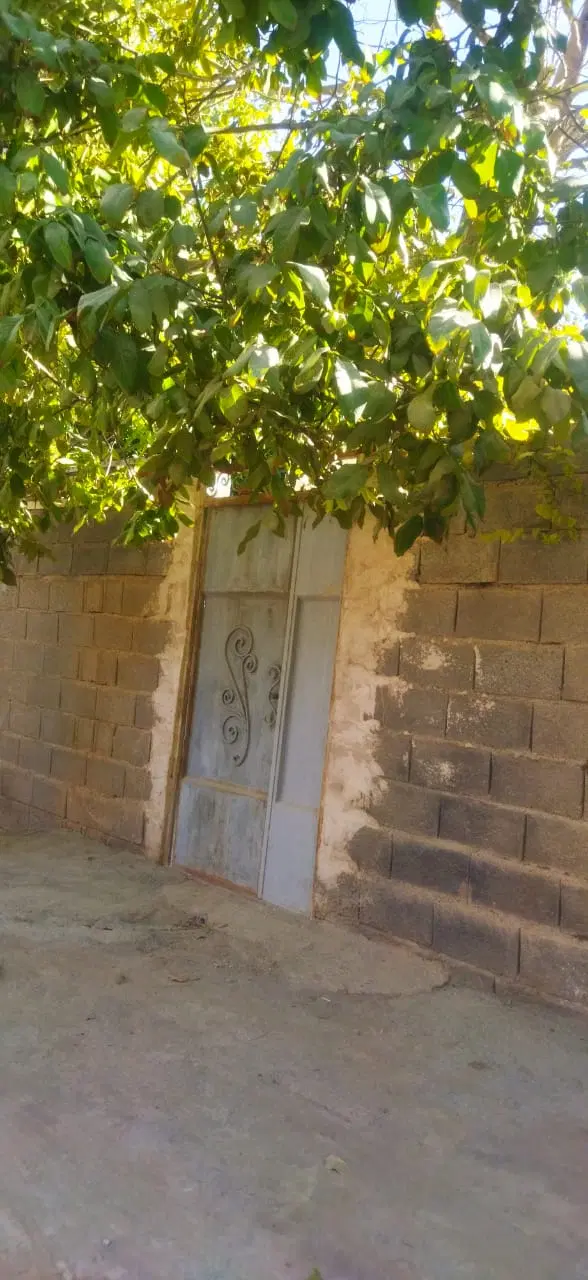 سوئیت