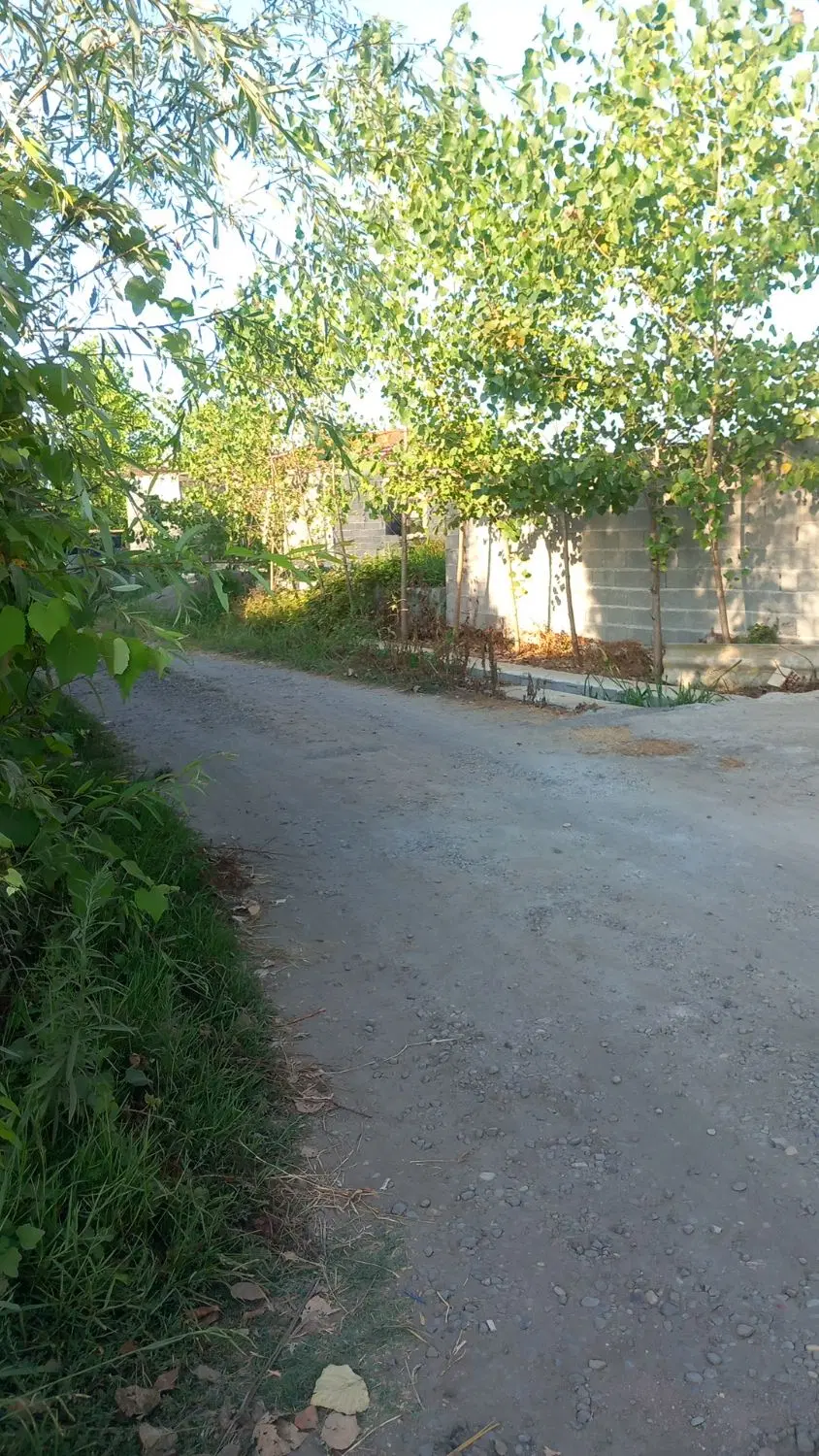 زمین