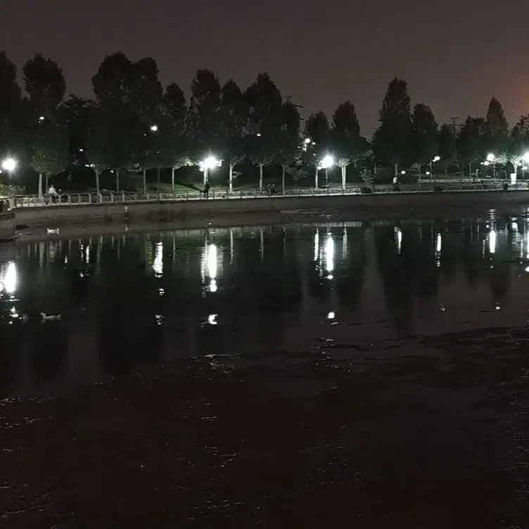 اجاره کوتاه مدت سوئیت