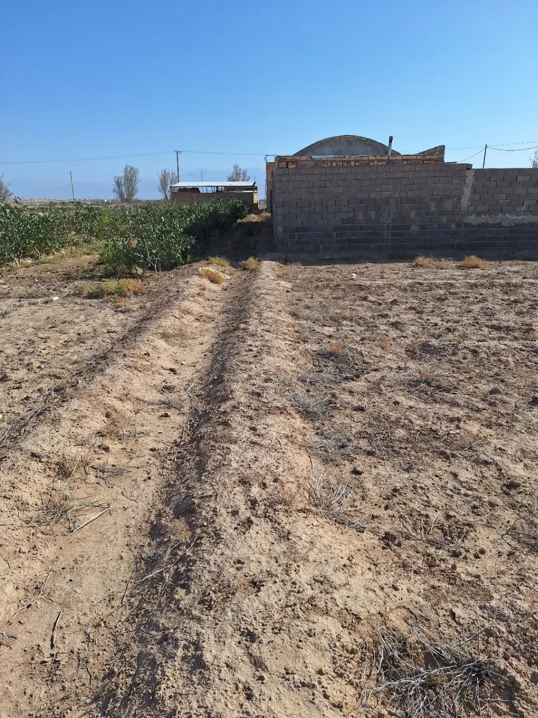 زمین دشت قاضی