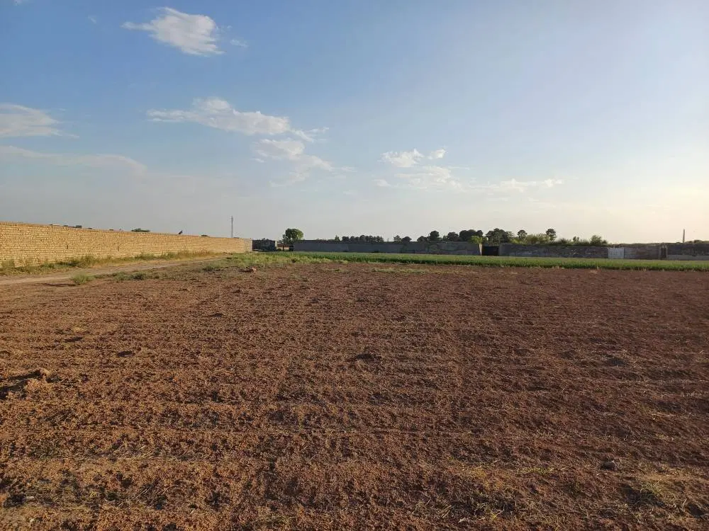 زمین کشاورزی  مناسب برای کشاورزی باغ و باغچه