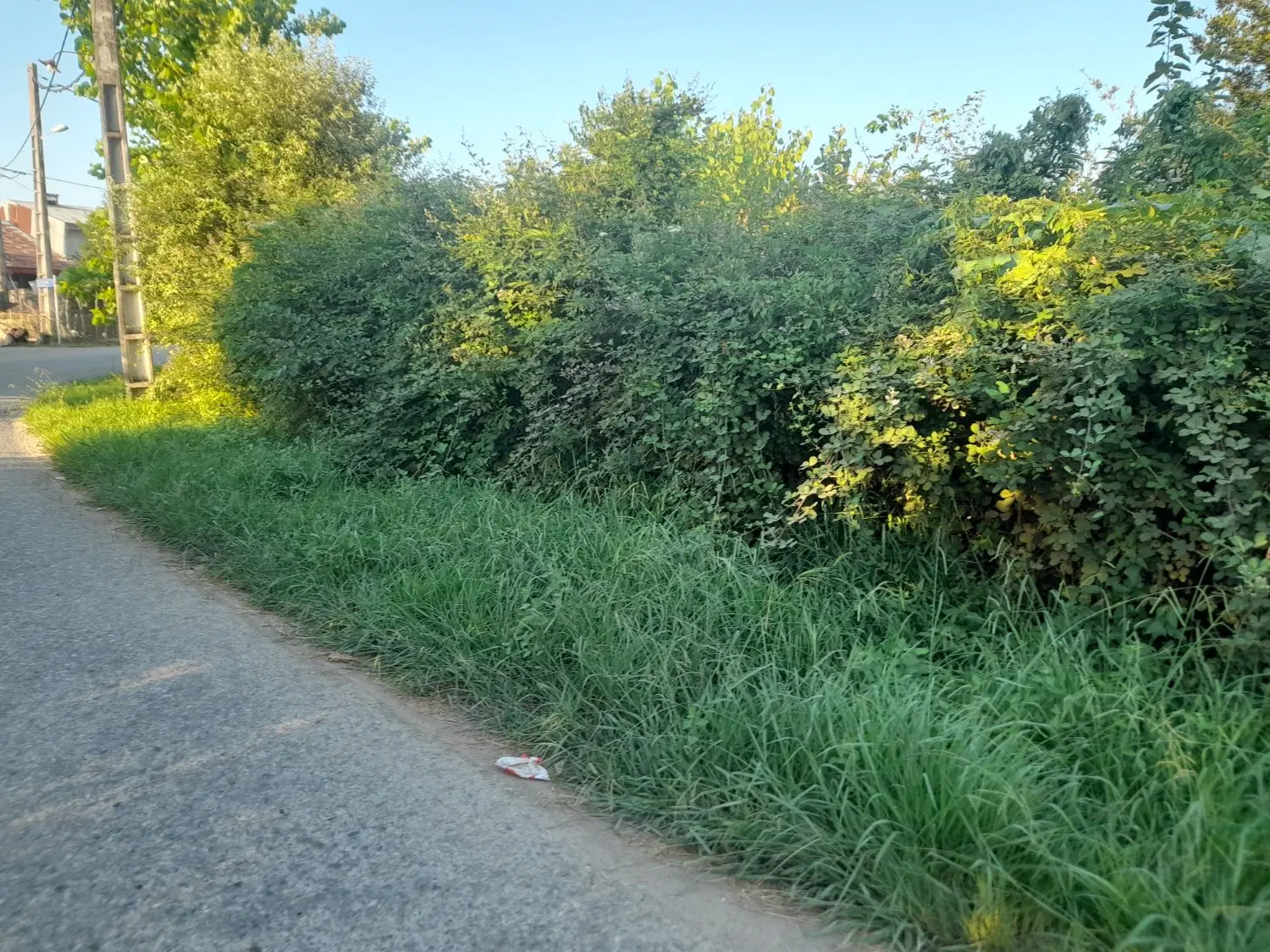 زمین مسکونی