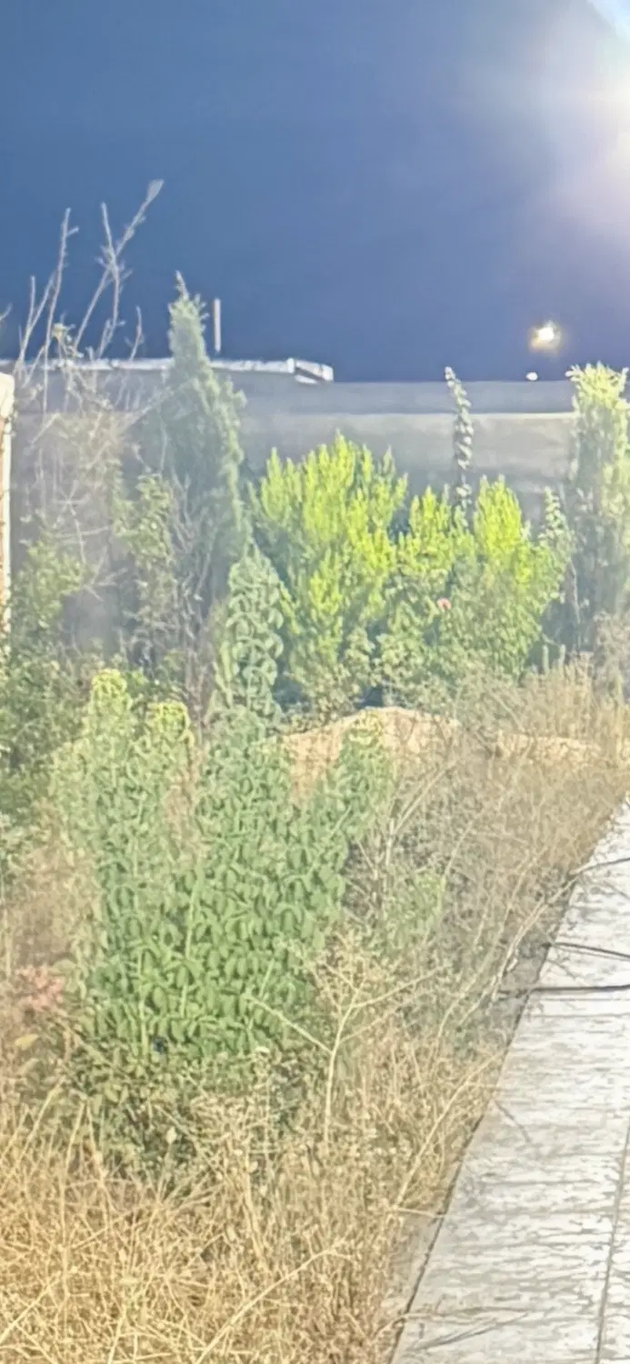ویلا باغ