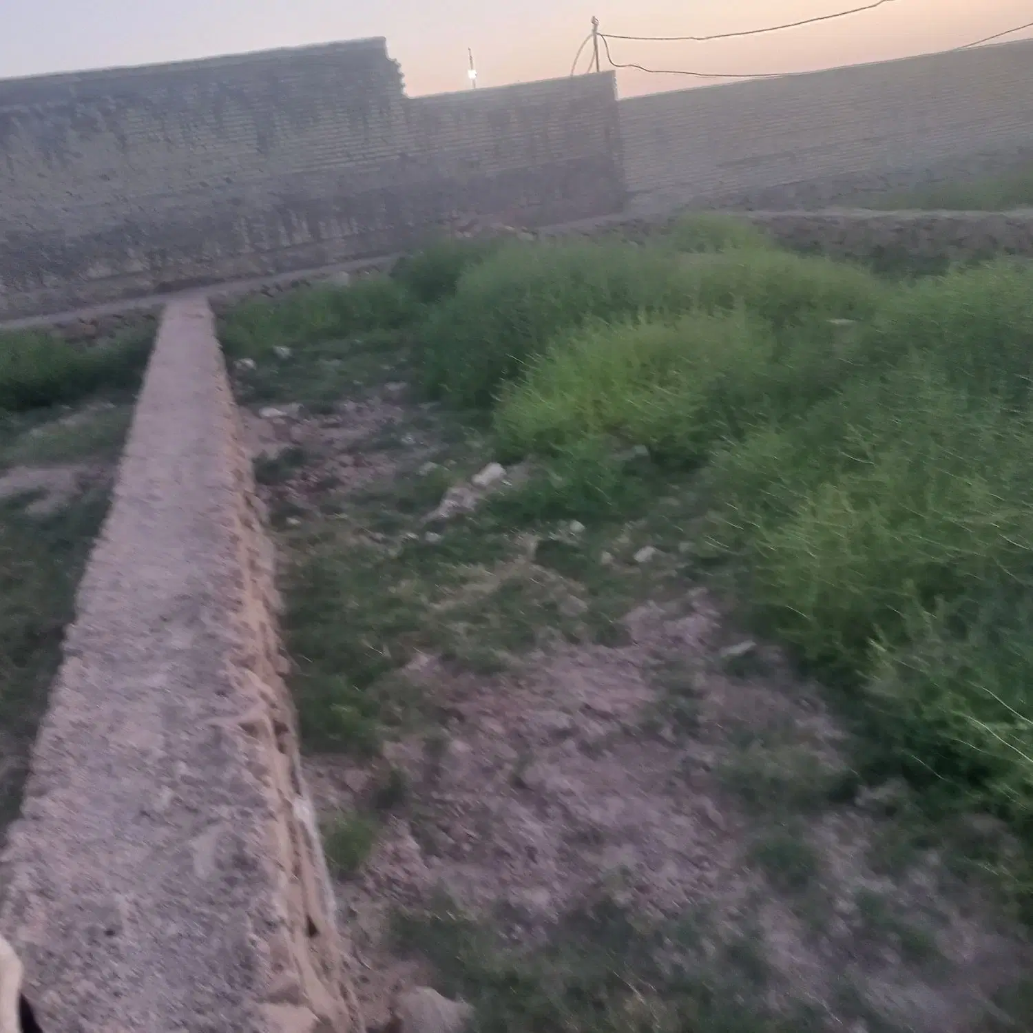 زمین ۵۰۰متری مندلی