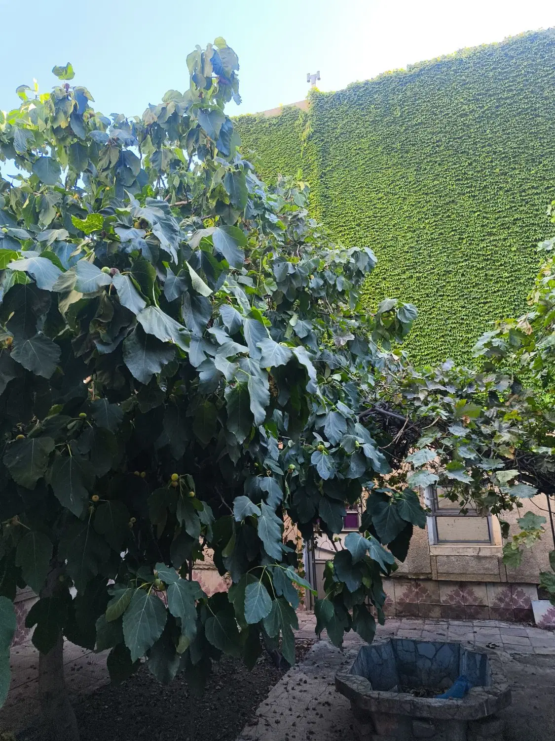 خانه ویلایی ۲۱۲_۵ متر