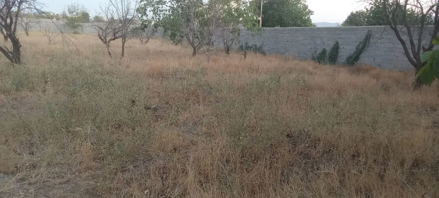 600متری همندوادان گلستان