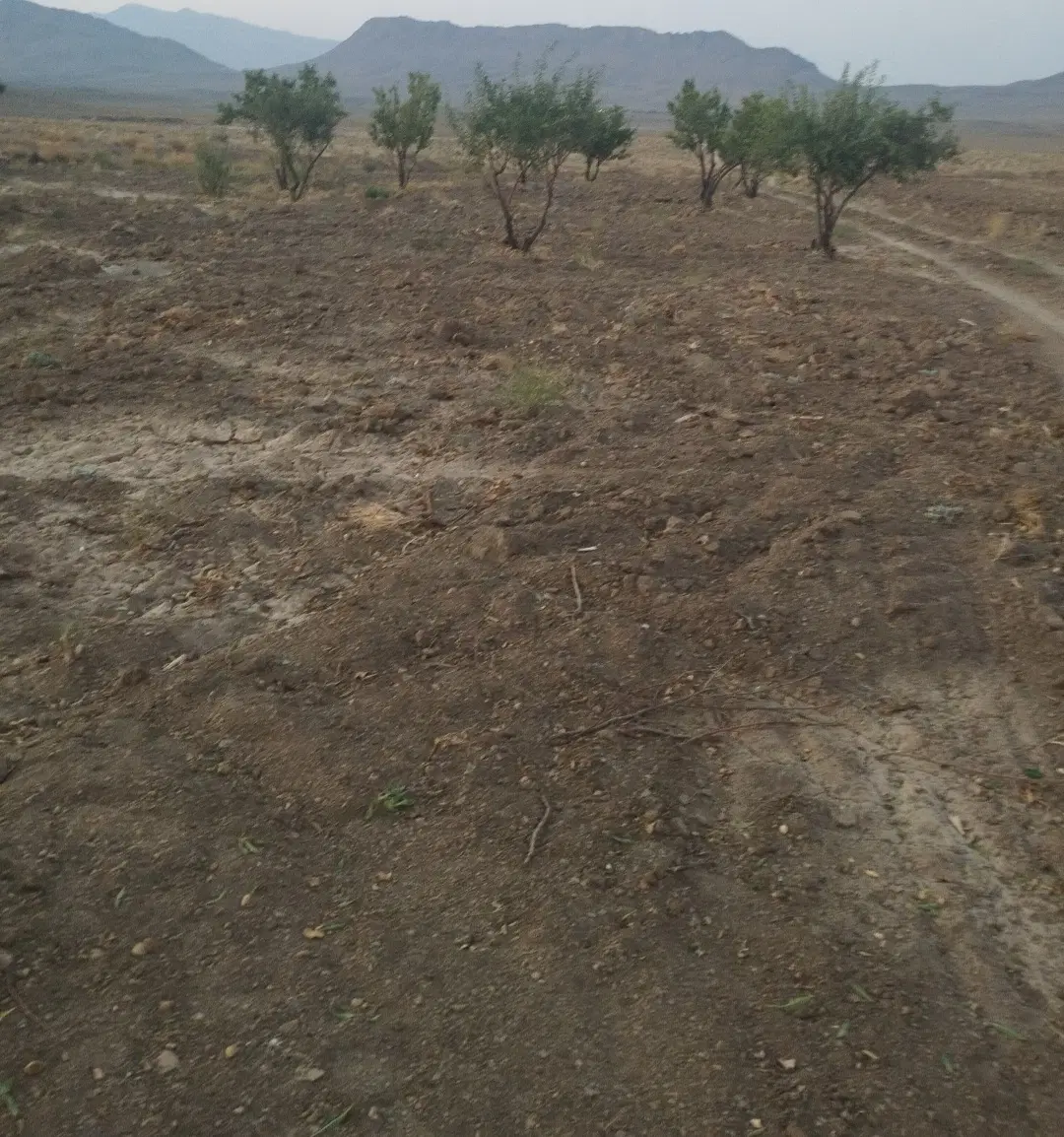 زمین‌فروشی