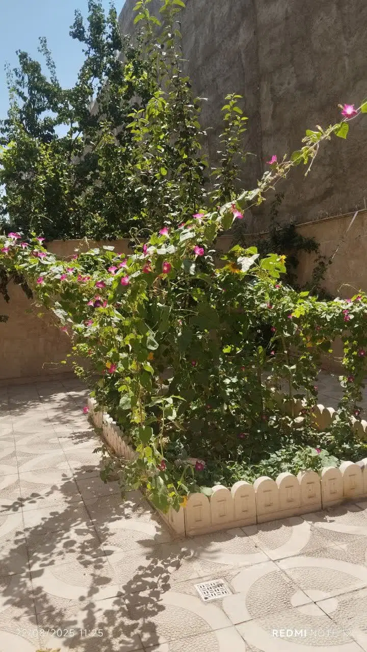 75متری