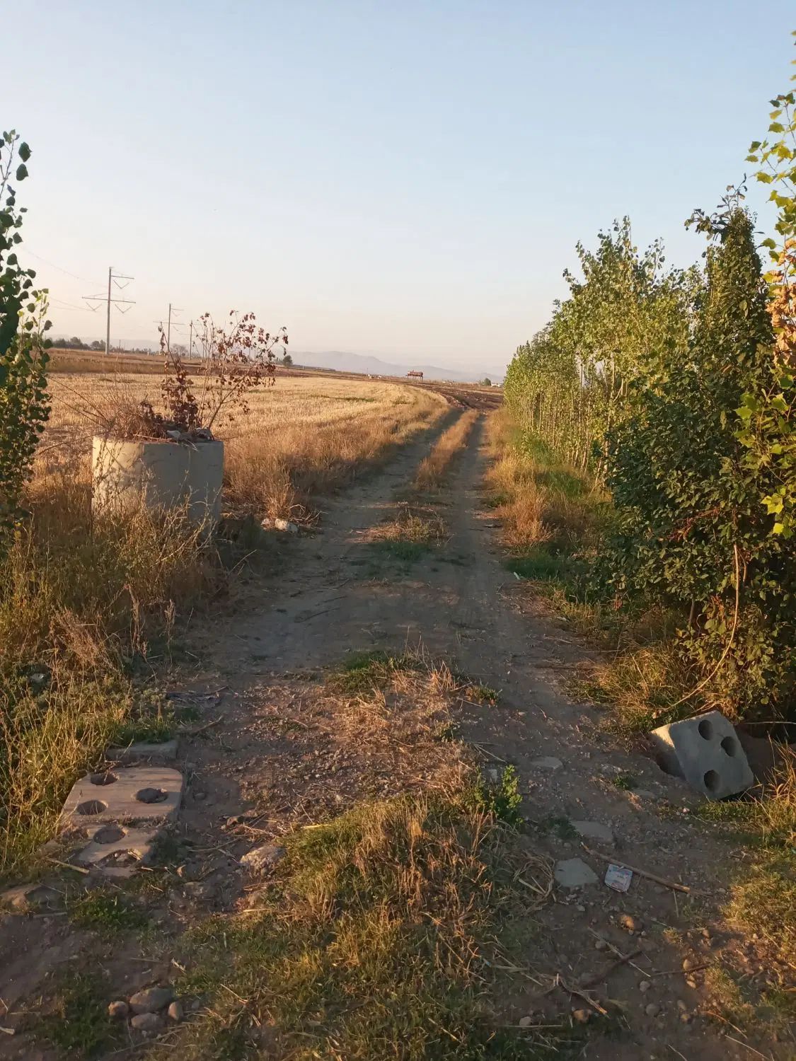 زمین ۵۰۰۰متری با چاه آب برقی در گرجان