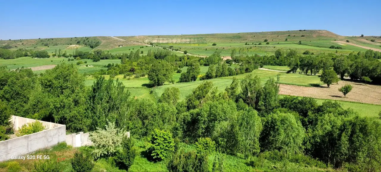 زمین سند تکبرگ و جواز