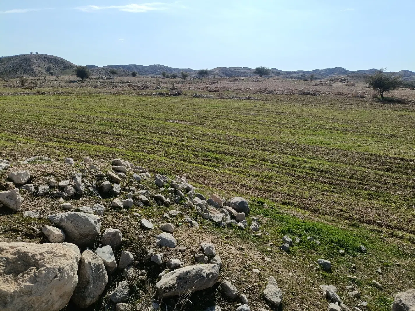 ی هکتار زمین سند تک برگ