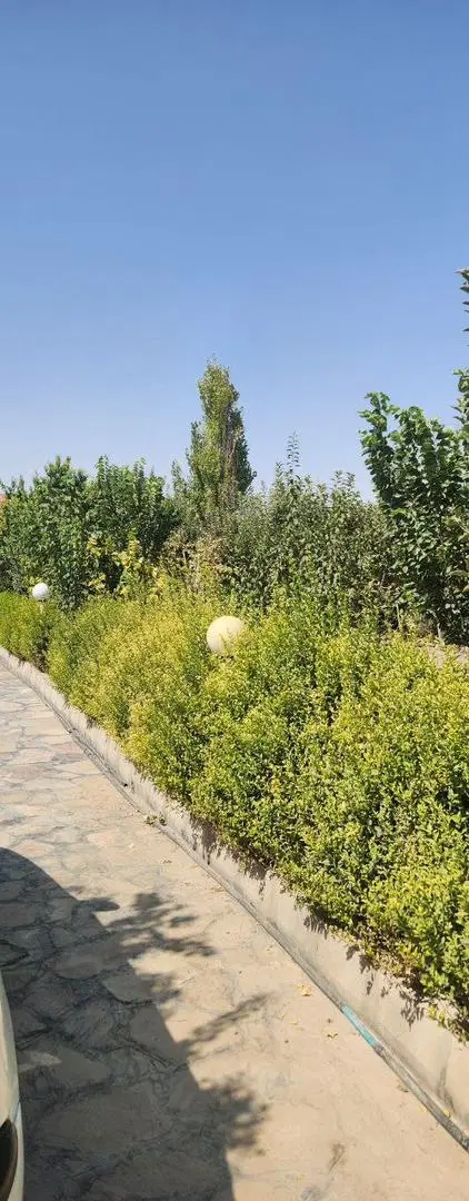 ویلا 1100متری