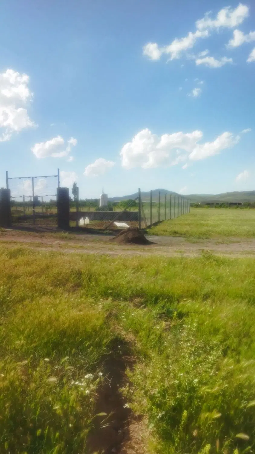 زمین کشاورزی