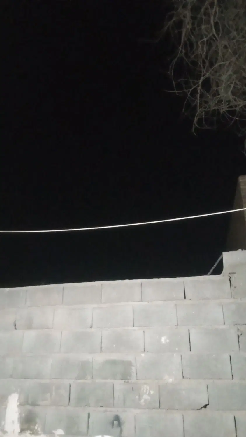 زمین