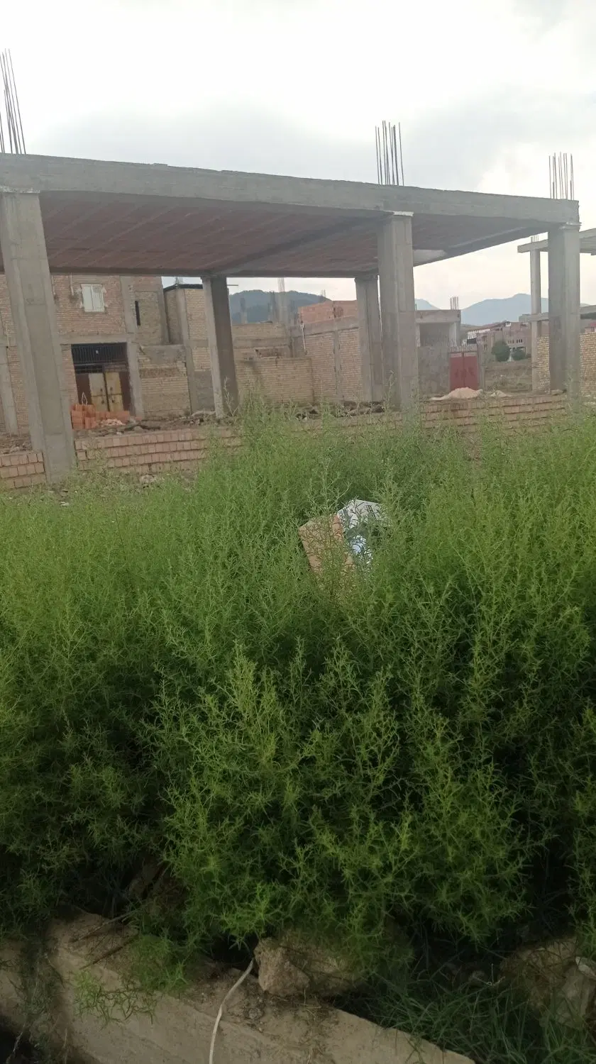 زمین مسکونی
