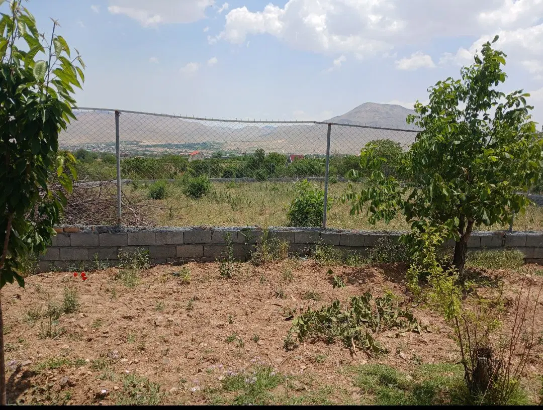 زمین کشاورزی  علی اباد