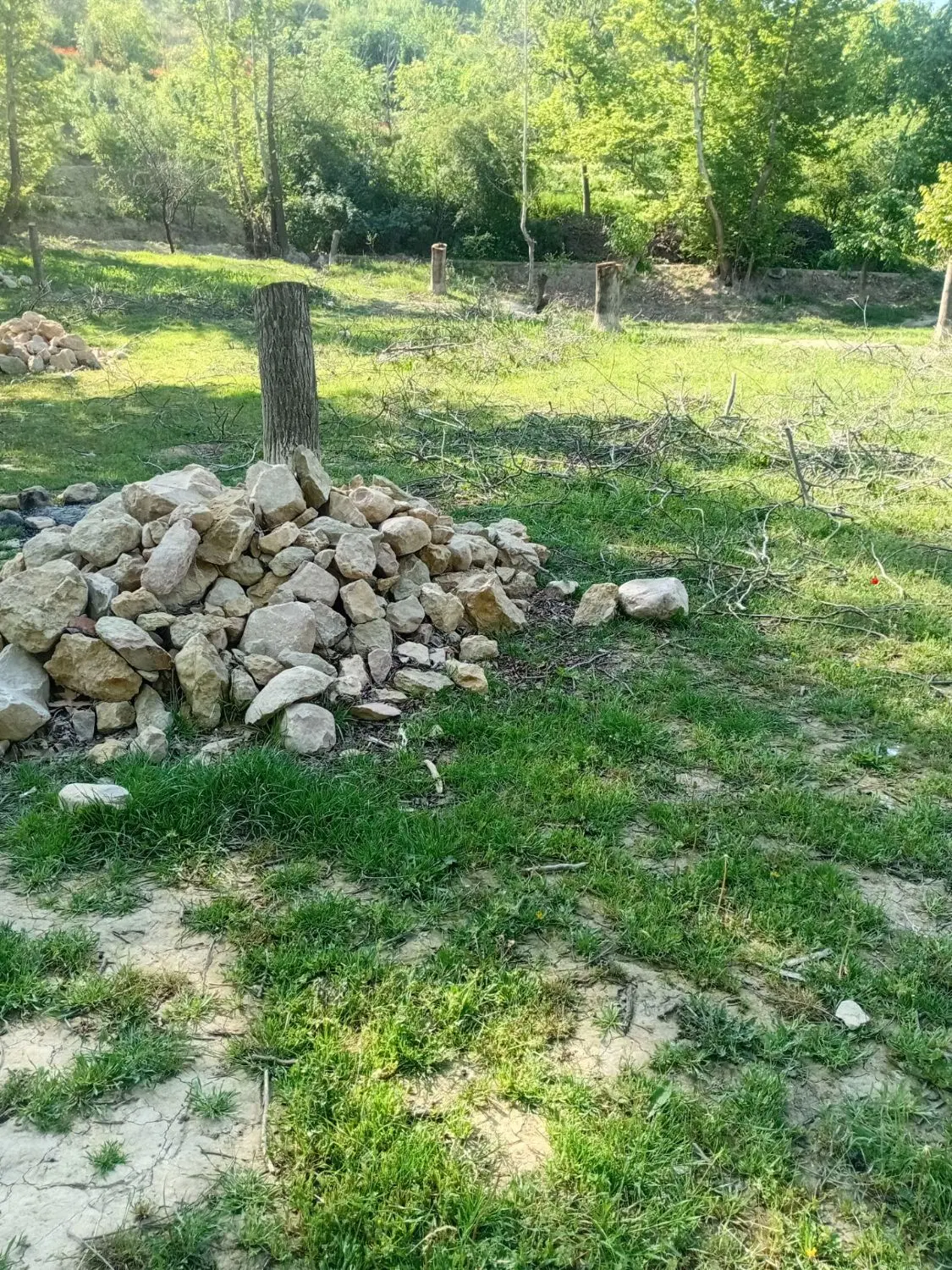 زمین فروشی