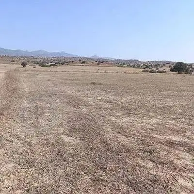 زمین  مسکونی