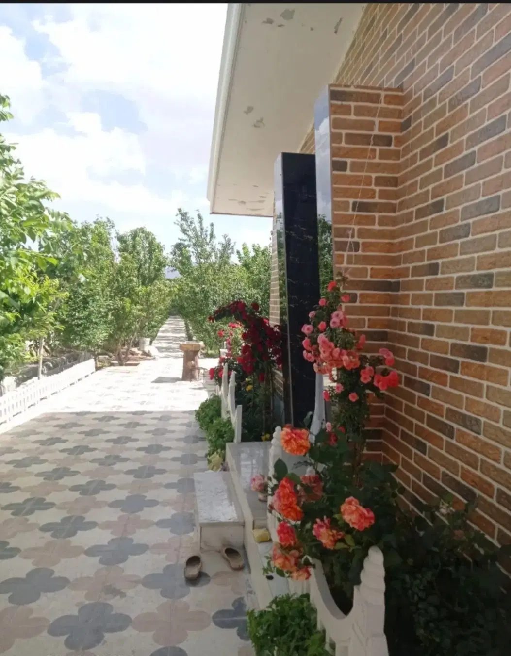 سوییت