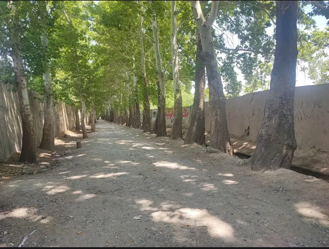 باغچه۳۲۰متری سنددار با انشعابات
