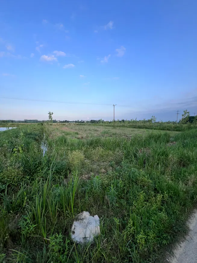 زمین باغات داخل طرح هادی