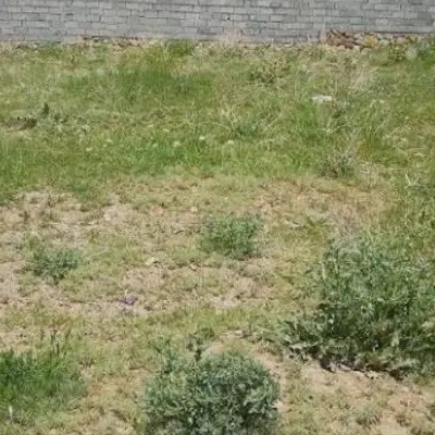 ۵۰۰ متر زمین سنددار