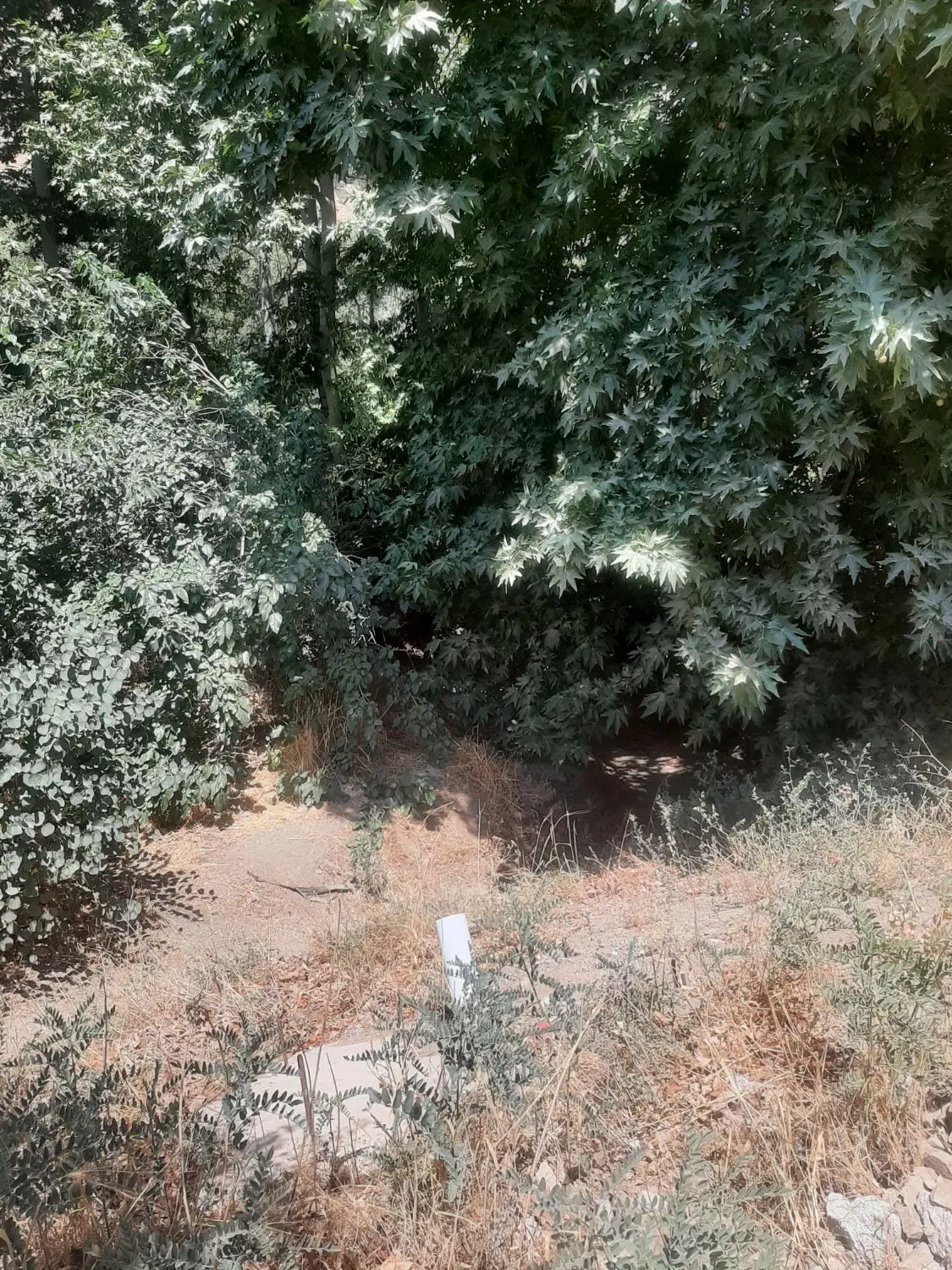 باغچه ۱۰۳۰ متر