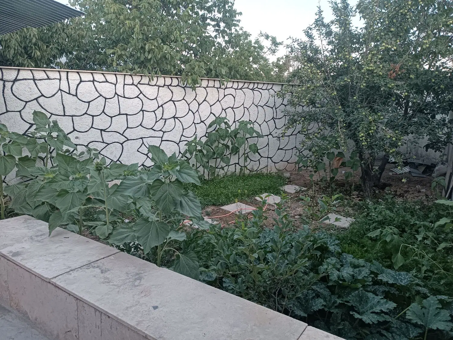 ویلایی روستای شهرآباد