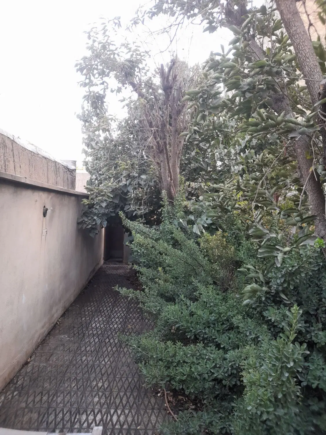 ملک کلنگی ویلایی لوکیشن در  چهاردانگه ماهشهر