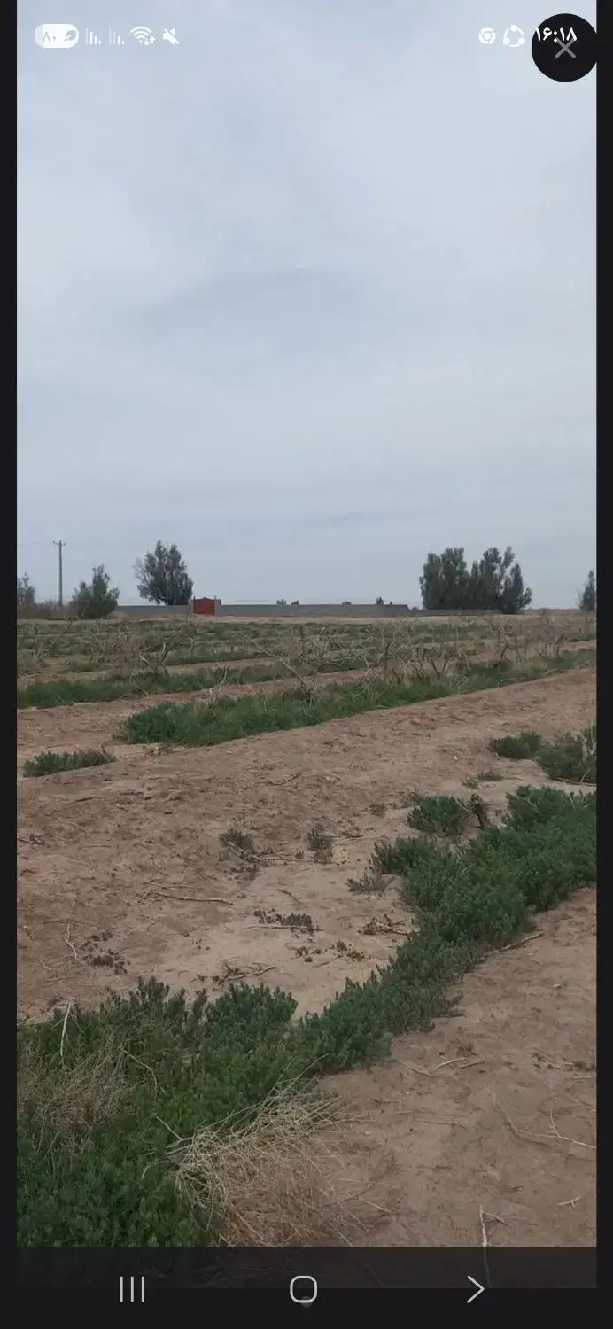 زمین ۵۰ متری فاز دوم نیروی دریایی
