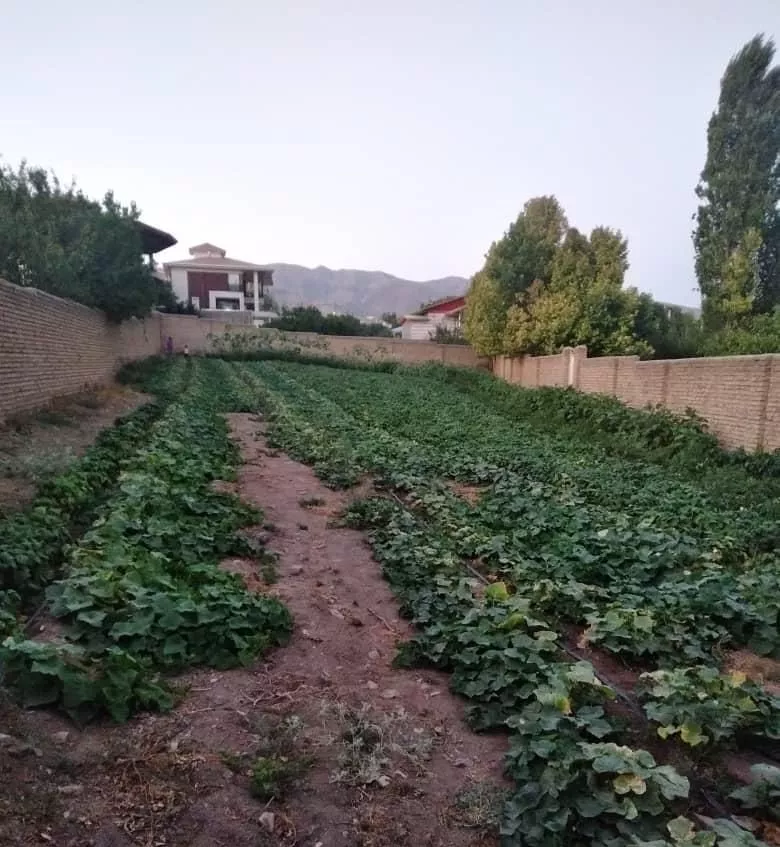 ۱۰۹۰متر زمین چهار دیواری منظره رودخانه زیاران