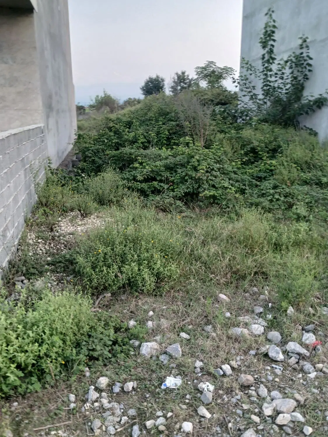 فروش زمین شهرکی آماده ساخت