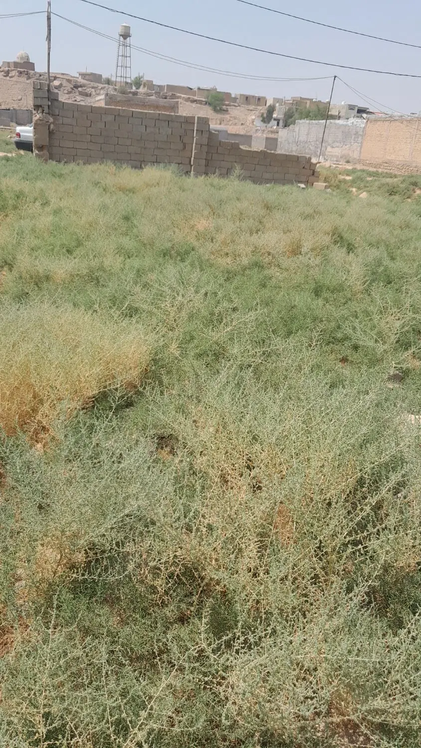زمین ۲۰۰ متری (بهشت رضا)