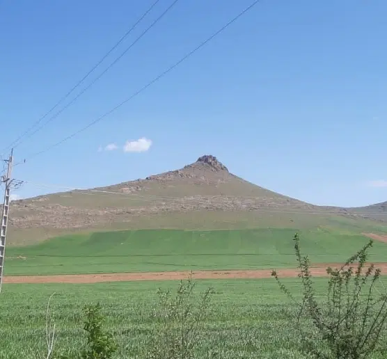 پنج هکتار زمین شخم زده مرغوب با چاه شخصی