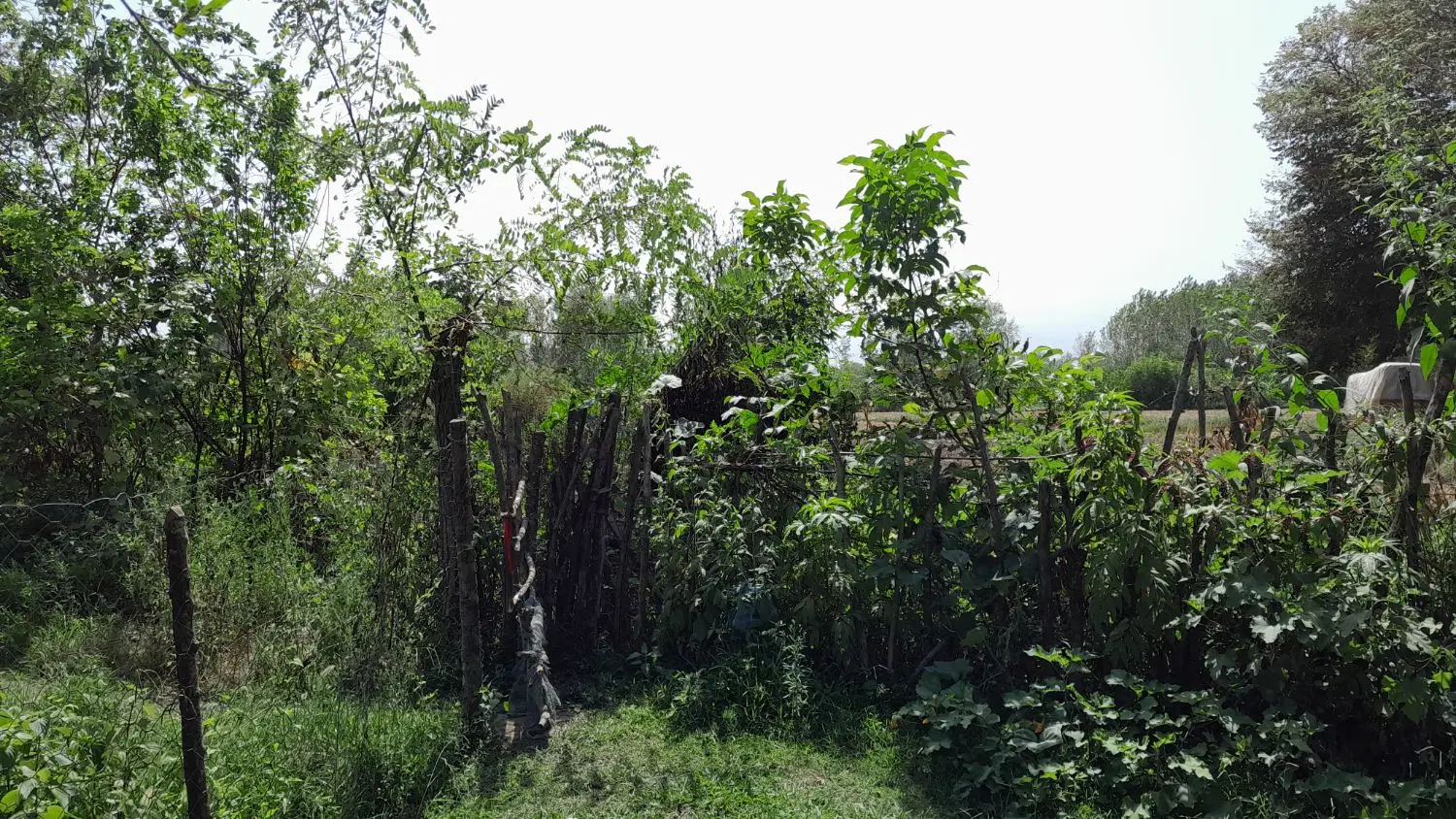 خونه ویلایی