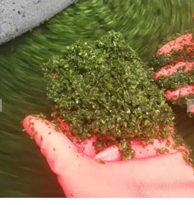 واگذاری سبزیجات آماده