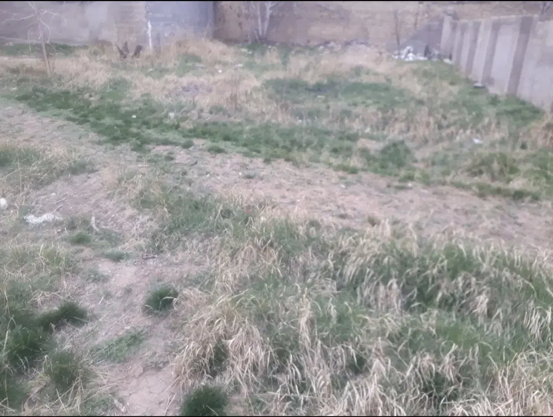 زمین ویلایی مسکونی داخل بافت تنکمان