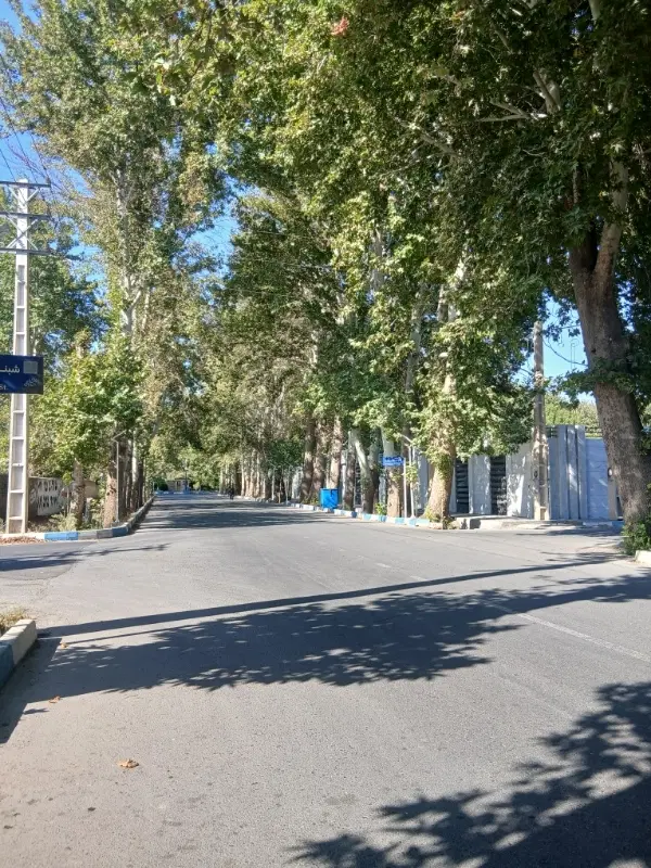 باغ ویلا