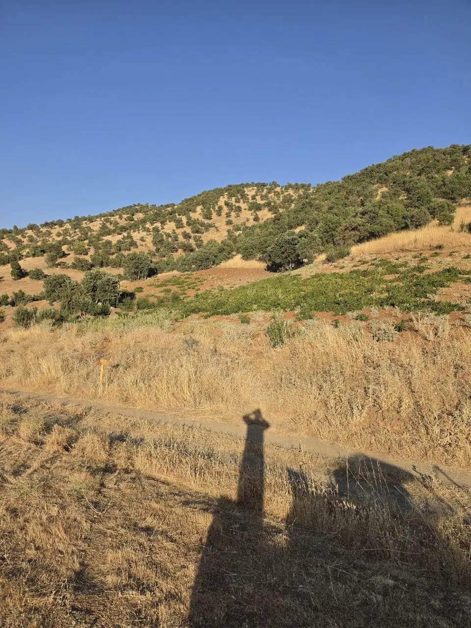 فروش باغ جاده گماره لنگ دارای آب رودخانه