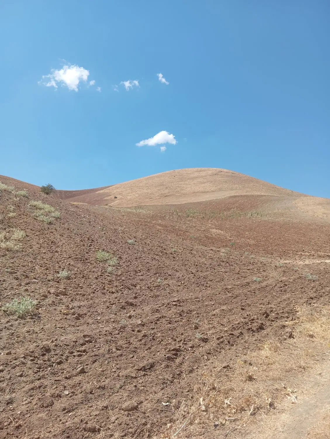 زمین مسکونی
