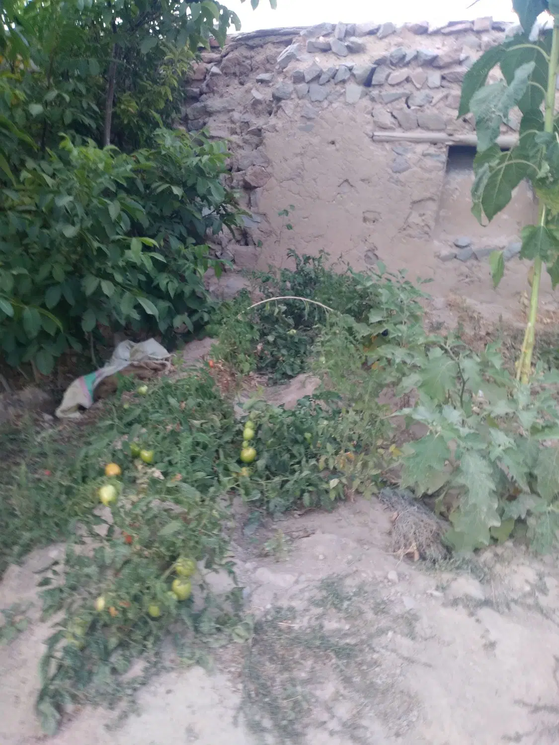 فروش خانه باغ