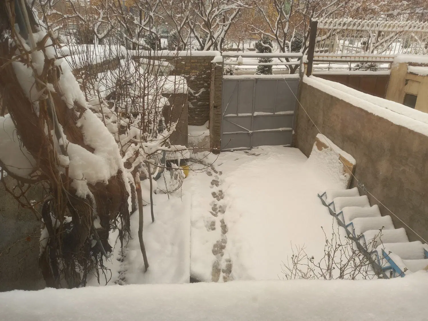 اجاره ۷۰ متری حاشیه فکوری