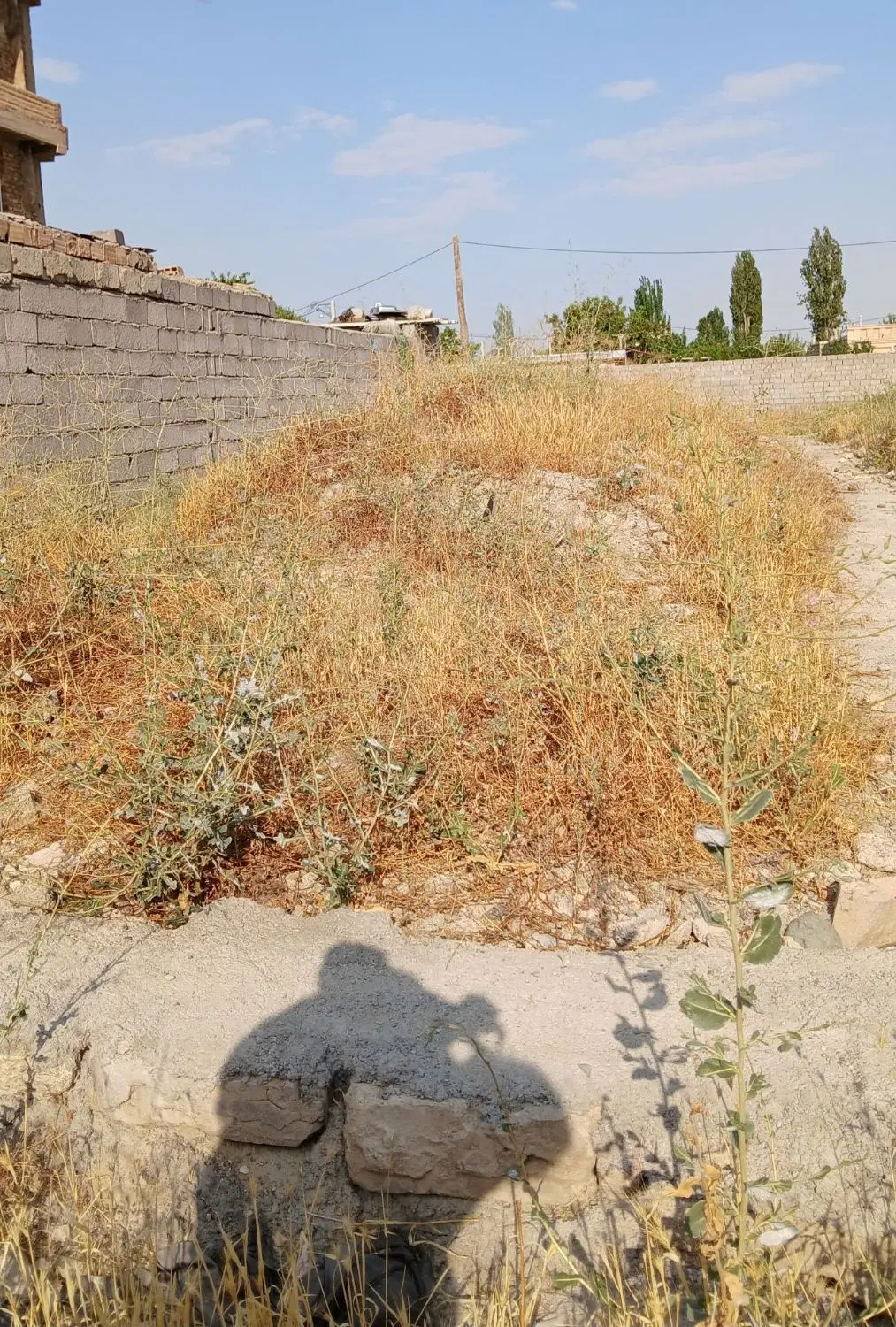 زمین قصور