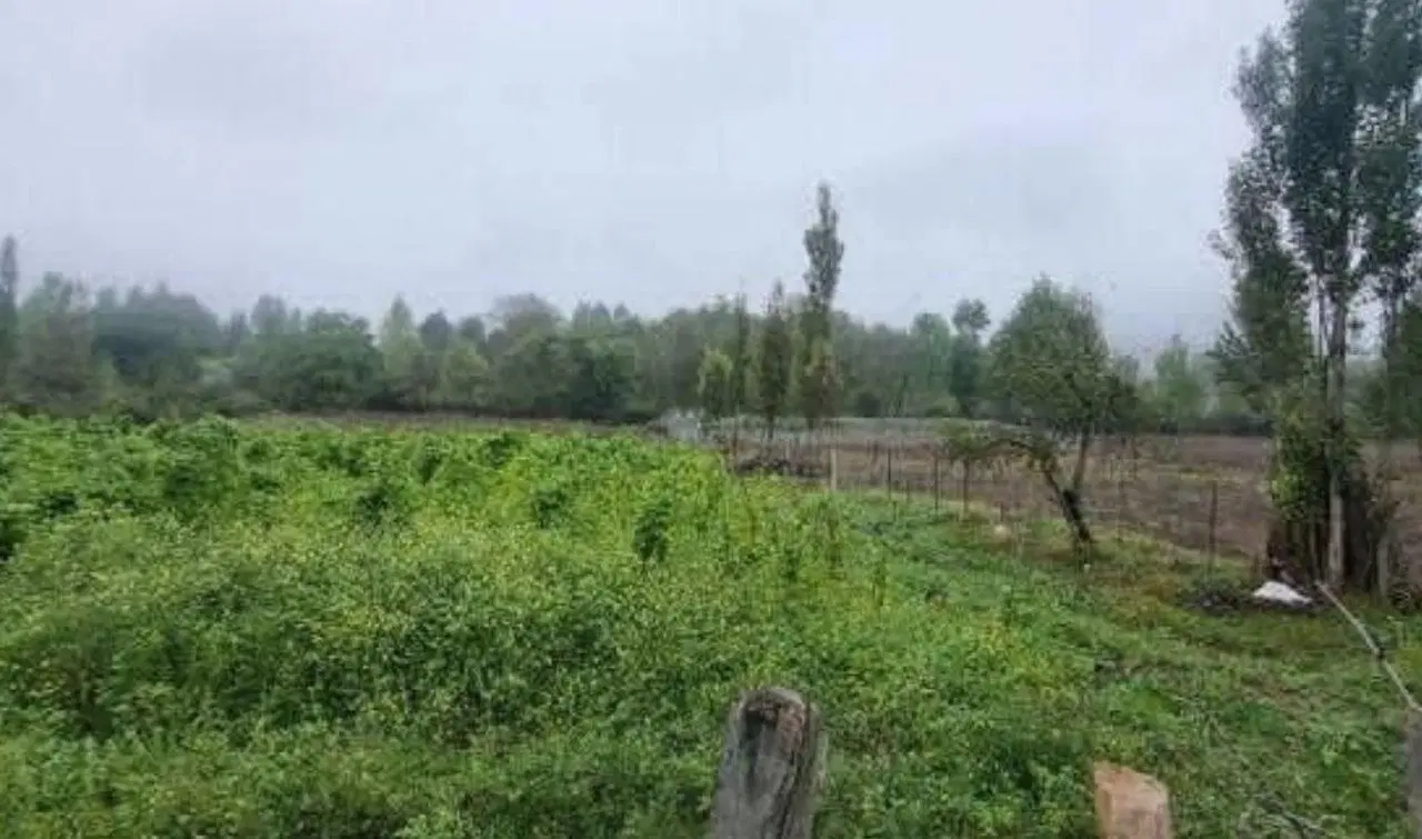 فرصت سرمایه‌گذاری_۳۰۰ متر زمین با قیمت مناسب