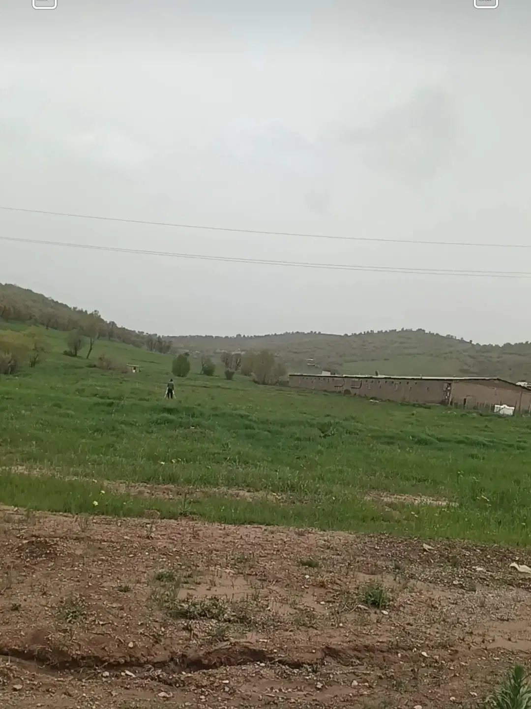 زمین ۱۰۰ متری زیرک۱