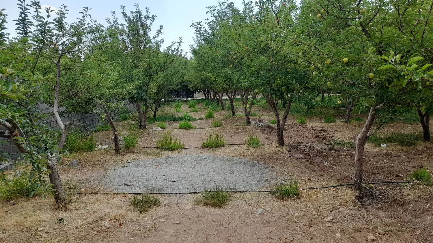 زمین باغ
