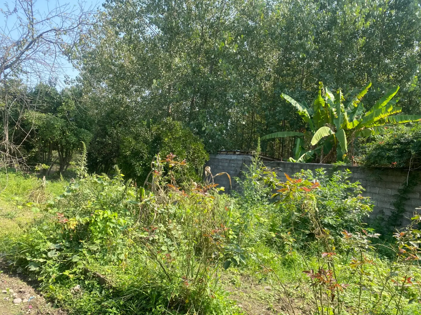 اجاره خانه راه جدا